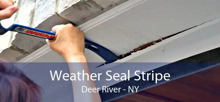 Weather Seal Stripe Deer River - NY