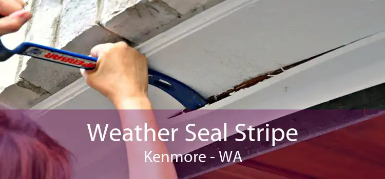 Weather Seal Stripe Kenmore - WA