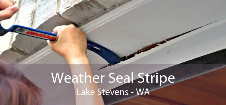 Weather Seal Stripe Lake Stevens - WA