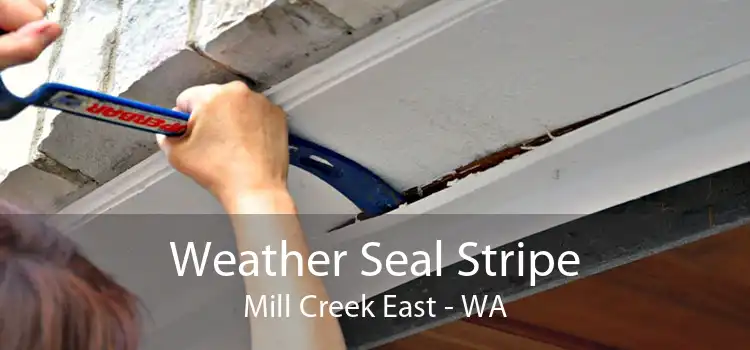Weather Seal Stripe Mill Creek East - WA