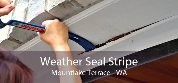 Weather Seal Stripe Mountlake Terrace - WA