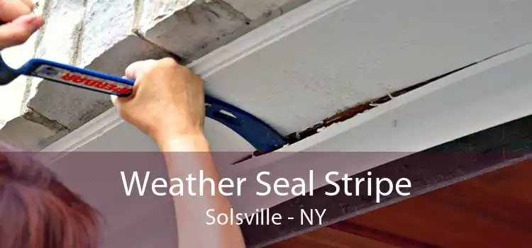 Weather Seal Stripe Solsville - NY